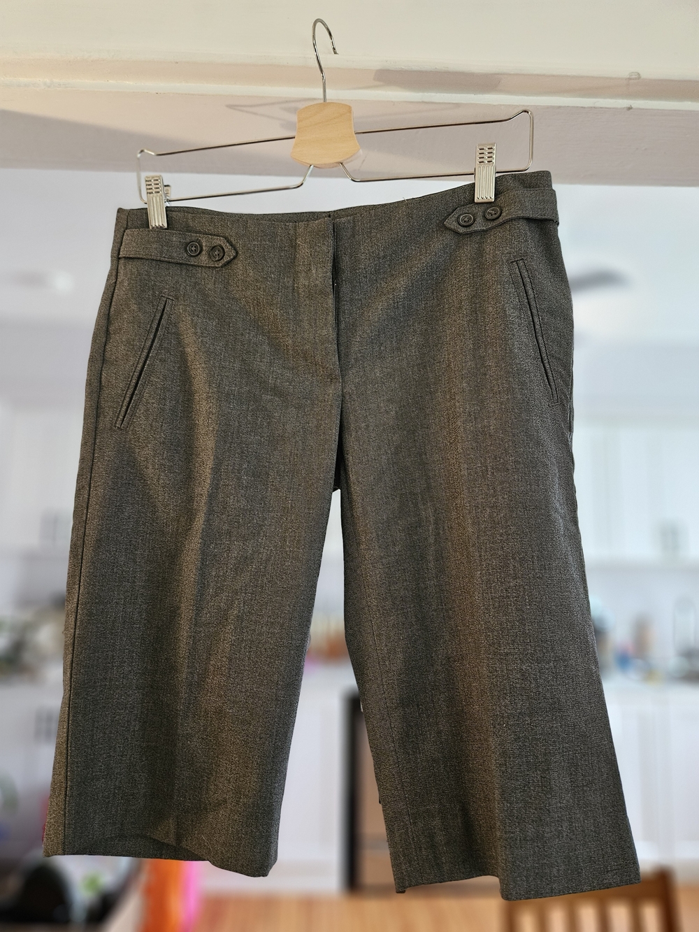 Women's Gray Dress Shorts - Classic Tailored Fit